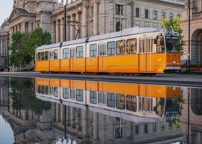 Falk Studio * Budapesta